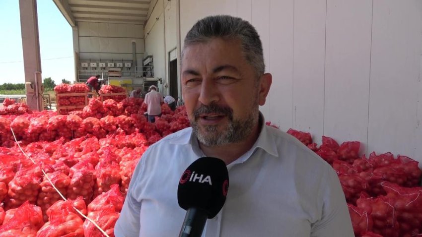 Amasya soğanı Avrupa'ya satılıyor