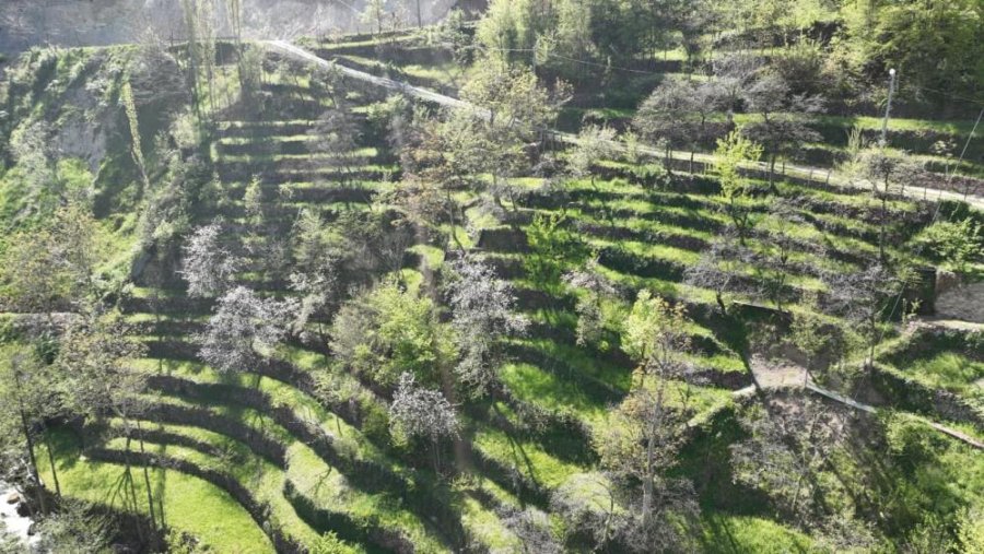 Dededen toruna uzanan bir yamacın hikayesi