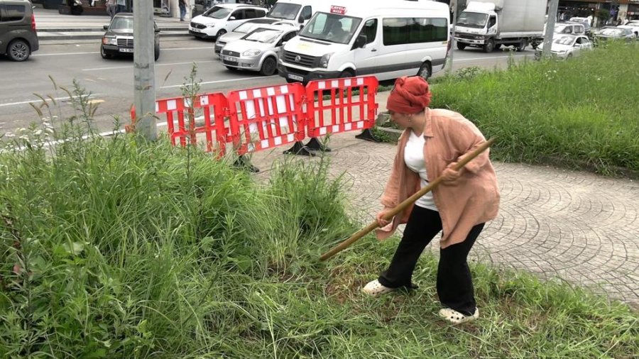 Şehir merkezinde tırpanla geçim mücadelesi