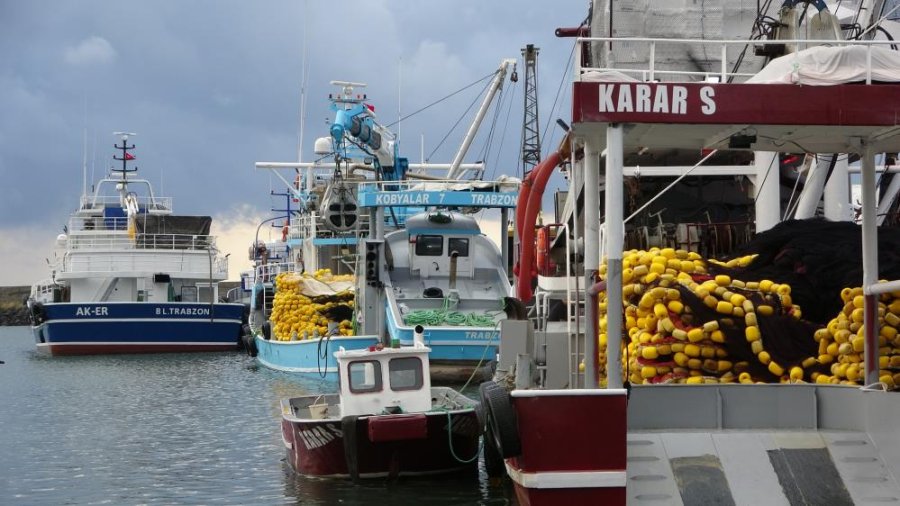 Trabzon’da balıkçıların deniz mesaisi başlıyor